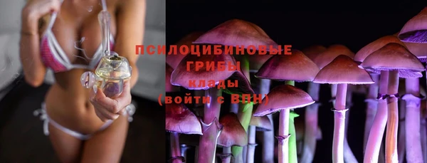 прущая мука Кинешма