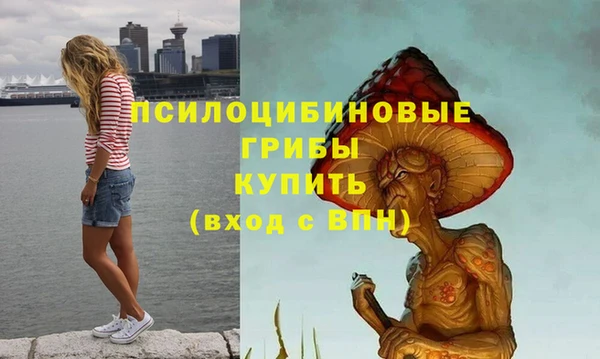 прущая мука Кинешма